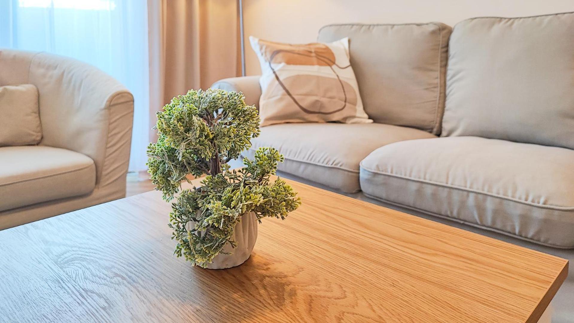 Filinhome Brankovica Suite Novi Sad Esterno foto